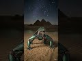 Mechanical Sobek