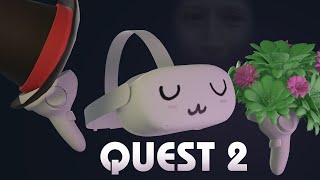 Честное мнение о использовании Oculus(Meta) Quest 2