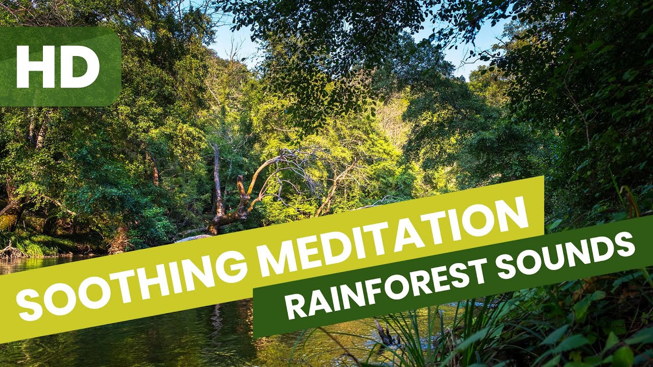 Soothing Meditation Music, Rainforest Sounds, Sound Therapy, Nature