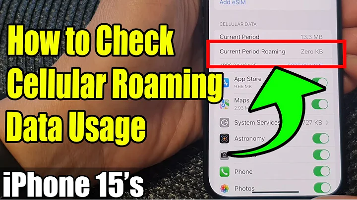 iPhone 15/15 Pro Max: How to Check Cellular Roaming Data Usage