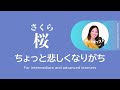 「さくら」ちょっと悲しくなりがち　 #13 | 日本語ポッドキャスト