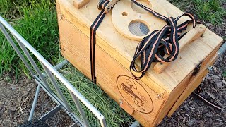 🔴 Bienenschwarm Livestream / der Bienenschwarm kommt in die Bienenbeute 🐝