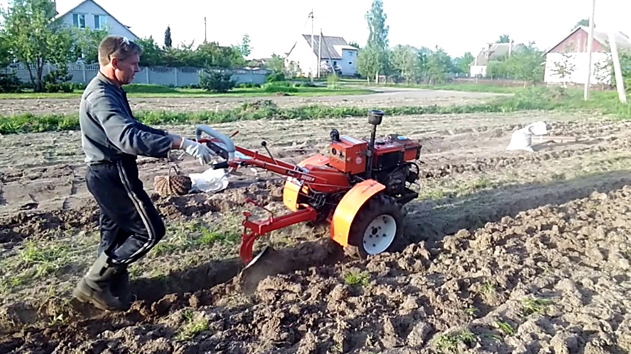 Сажаем под плуг. Картошка под плуг. Посадка картофеля под мотоблок плугом. Садим картошку мотоблоком. Посадка картошки мотоблоком.