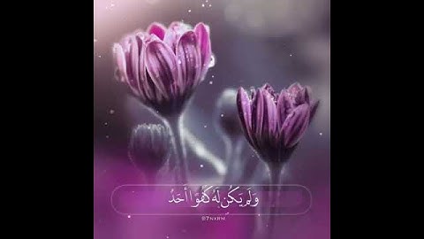 سورة الأخلاص عبدالله الموسى / حالات واتس اب اسلامية