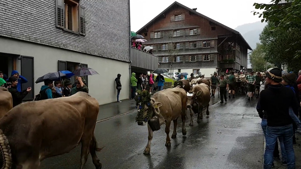 Alptag in Schwarzenberg