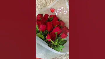 يارب تخلي ضحكاتو سوريا ورد فضل شاكر حالات واتس 