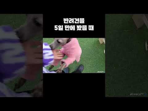 5일만에 만난 <strong>애기들</strong>