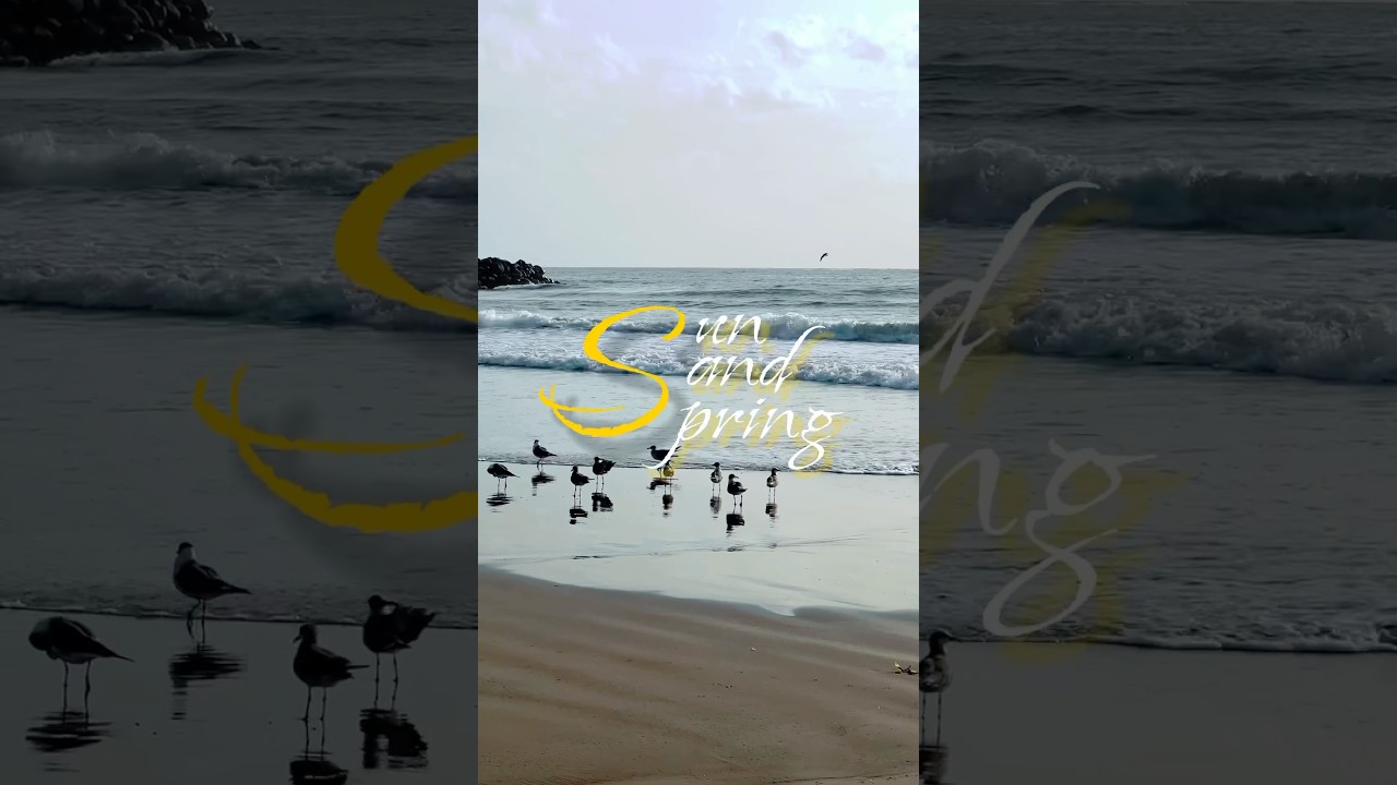 Styling | Sun Sand Spring 