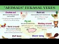 Animal Phrasal Verbs Quiz