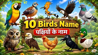 10 Birds Name hindi and English | पक्षीयो के नाम |Birds Name hindi and English | Birds | Bird Names 
