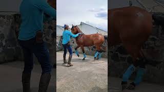 ojitos de Capulín - grupo laberinto
