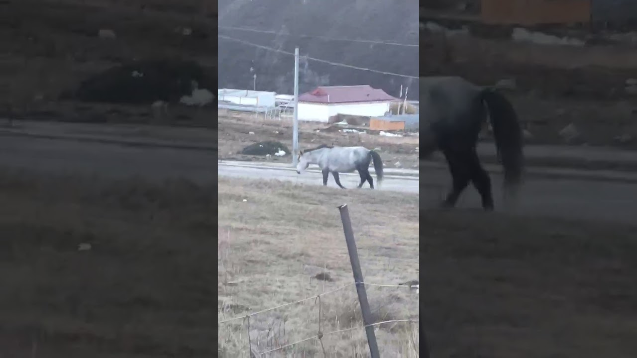 2025年11月16日神秘预言：命运转折的一天