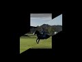 HUGE BUCK! Not my video!! #equestrian #horse