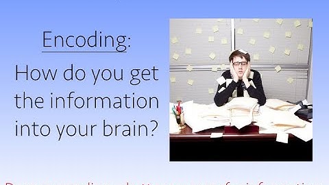 The Neuroscience of Performing from Memory Part I