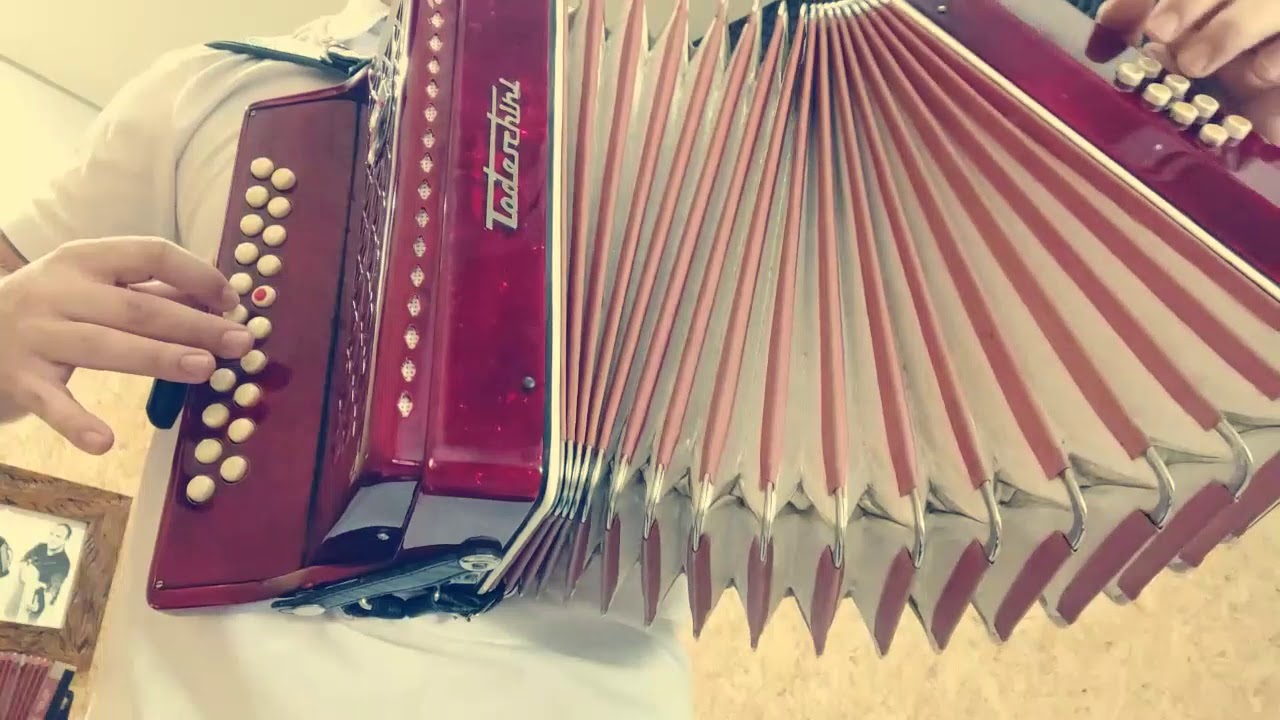 TIMBRE DE GALO (PONTO A PONTO)