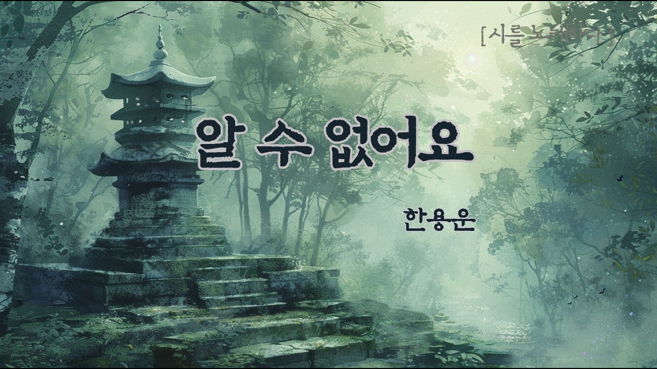 누구에게도 닿지 못한 새벽의 고백  ✉️ 한용운 _알 수 없어요