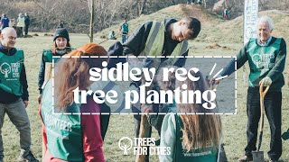 Sidley Rec Tree Planting Event!