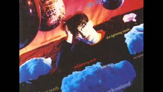 Video thumbnail of "The Lightning Seeds - Pure"