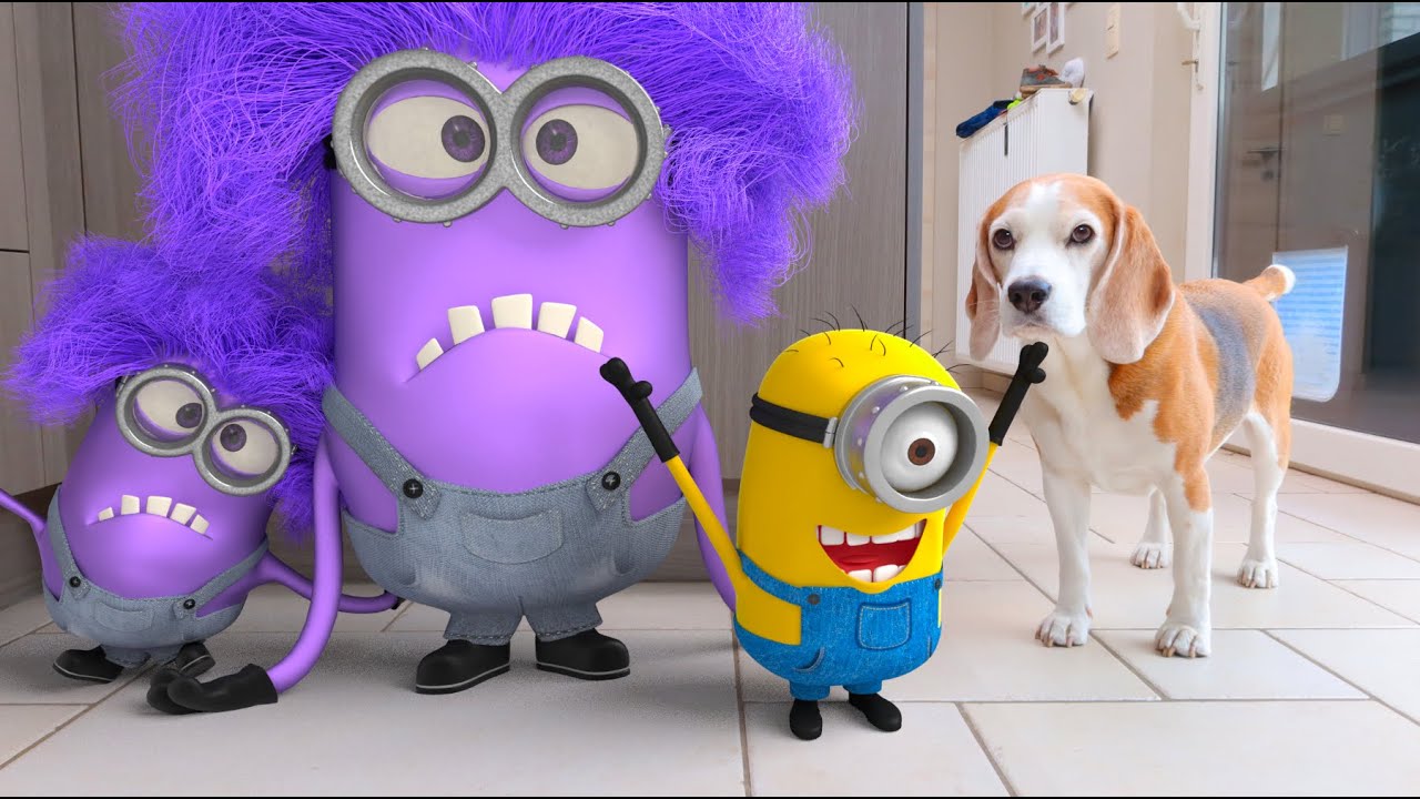 Purple Minion IN REAL LIFE Animation! Wow Must See! - YouTube