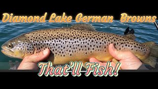 Diamond Lake, Oregon Kayak Fishing for German Brown & Tiger Trout with Rudy