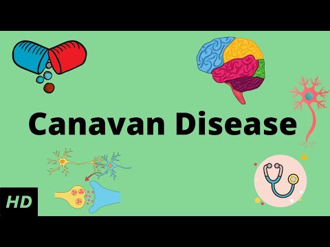 कॅनवन रोग, कारणे, चिन्हे आणि लक्षणे, निदान आणि उपचार.