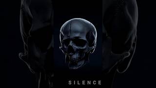 CRAZY SECT — SILENCE #CrazySect#Signal01#Silence #undergroundculture #UndergroundArt