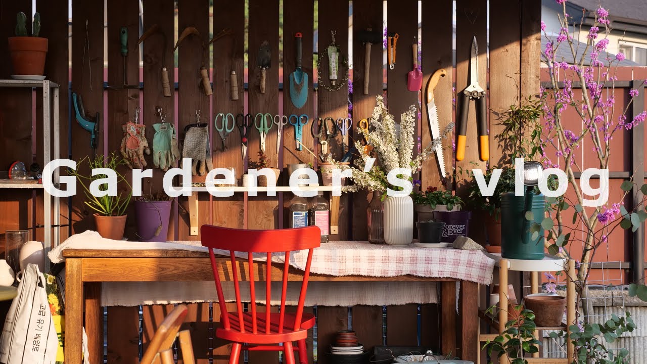 Мой муж начал любить садоводство! (Он говорил, что больше не покупает цветы)