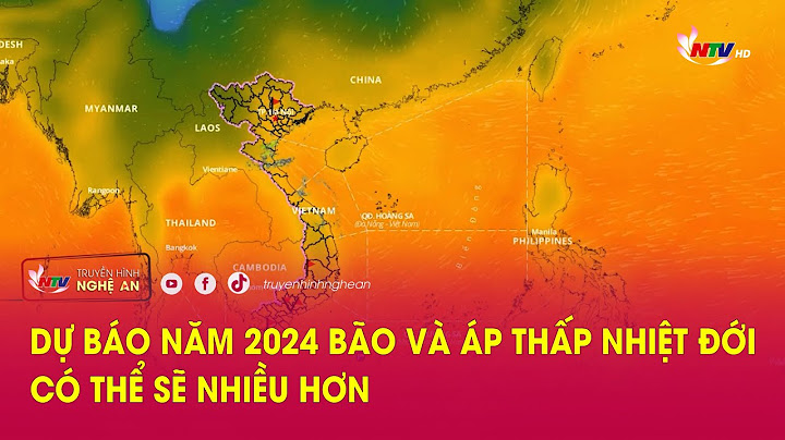 Trung bình nước ta có bao nhieeucown bão năm 2024