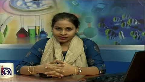 Lesson 2 : Operating System (Part-2)