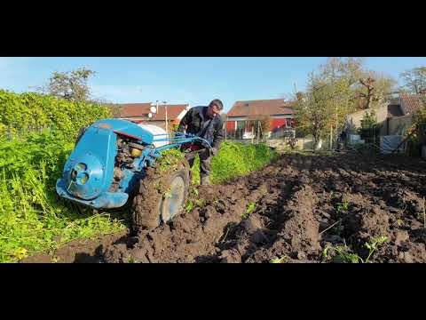 Vidéo: Cultivateur à Essence: Lequel Choisir Pour Une Résidence D'été? Évaluation Des Modèles : Caractéristiques De Sterwins-2, FPTP123 Et Autres. Caractéristiques Des Cultivateurs De Jar