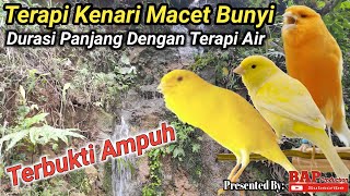 SUARA TERAPI BURUNG KENARI MACET BUNYI