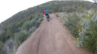 Windmill Loop - Chasing Morten pt. 1