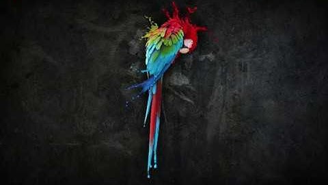 #2 Cara Membuat Script Deface Simple Bagi Pemula !