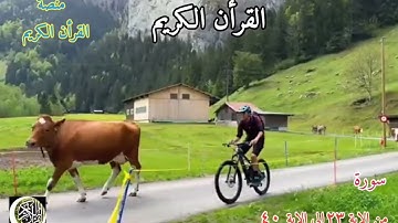 سورة الروم... القارئ نور الدين سليم نوري  .