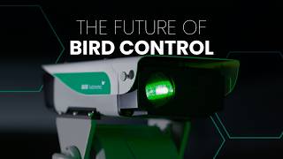 This Is How Modern Bird Control Works Guide