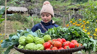 Process of making smoked sausage  Harvest chayote, cauliflower, and tomatoes to sell at the market