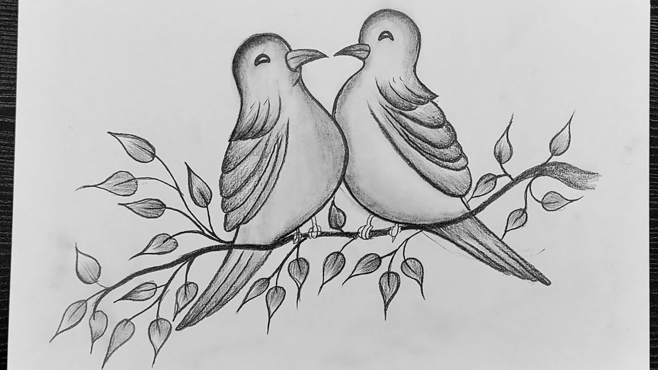 Shawn Charlotte - Sketch: Love Birds