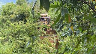 Awesome!! CAT D6R XL Bulldozer Opens a New Road in the Middle of Dense Forest & Rugged Terrain
