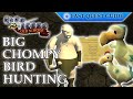 Big Chompy Bird Hunting Quest OSRS Quality Quick Guide 2024 