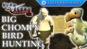 Big Chompy Bird Hunting Quest | OSRS Quality Quick Guide [2024]