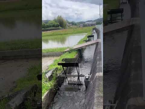 伊賀市上林の手作り水車 #shorts #三重 #伊賀 #自然 #伊賀市