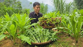 Harvest Green Vegetable Garden Goes to the market sell  Cooking | Solo Survival
