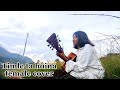 Timle ta hoinabachchu kailash cover by pampha chamling