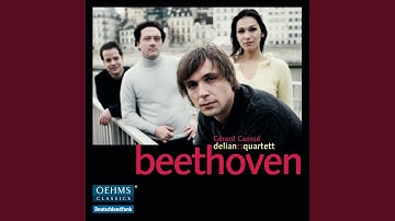 String Quintet in C Major, Op. 29: I. Allegro moderato