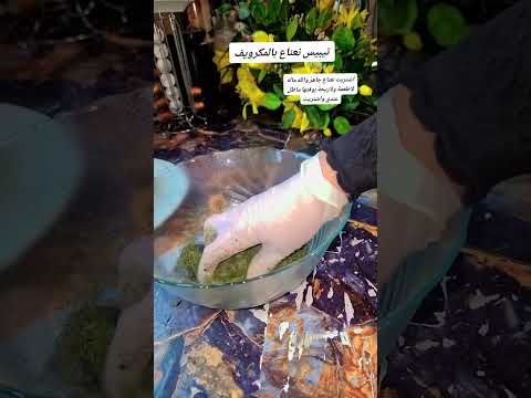 كيفية تلبيس النعناع بالمكرويف اكسبلور طبخ اتمنى دعمكم