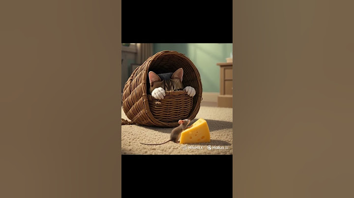 “Shocking Silence The Cat’s Trap Is Pure Genius!” #shorts #catandmouse #trap