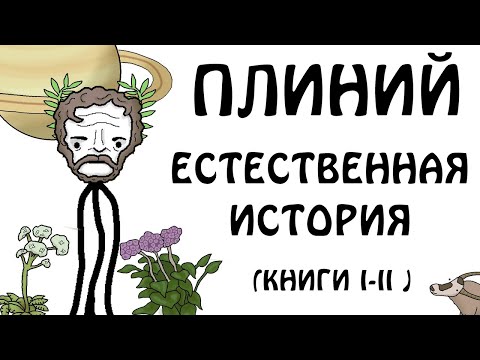 ' Плиний Старший