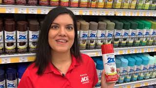 Central Florida Ace & Rustoleum Painters Touch Feb 2020 LMS