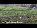 Video de San Pedro Topiltepec