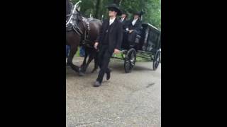 Mr. Jerry O'Keefe and horse drawn Caisson